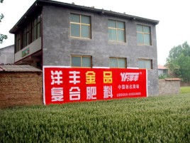 古蔺如何让墙体广告展现最大化效果