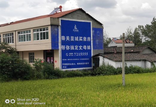 古蔺决定墙体广告价格的因素有哪些？