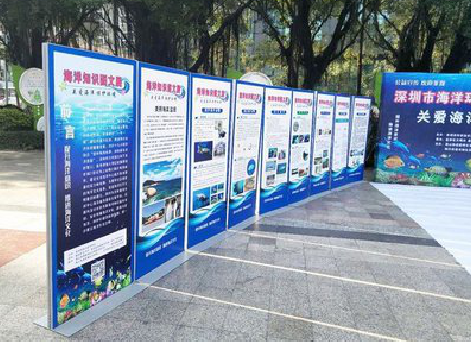 古蔺KT板的种类和知识。